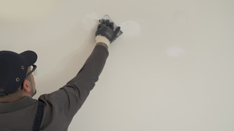 Best Wallpaper Removal and Painting  in Danvers, IL